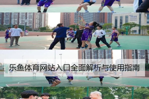 乐鱼体育网站入口全面解析与使用指南